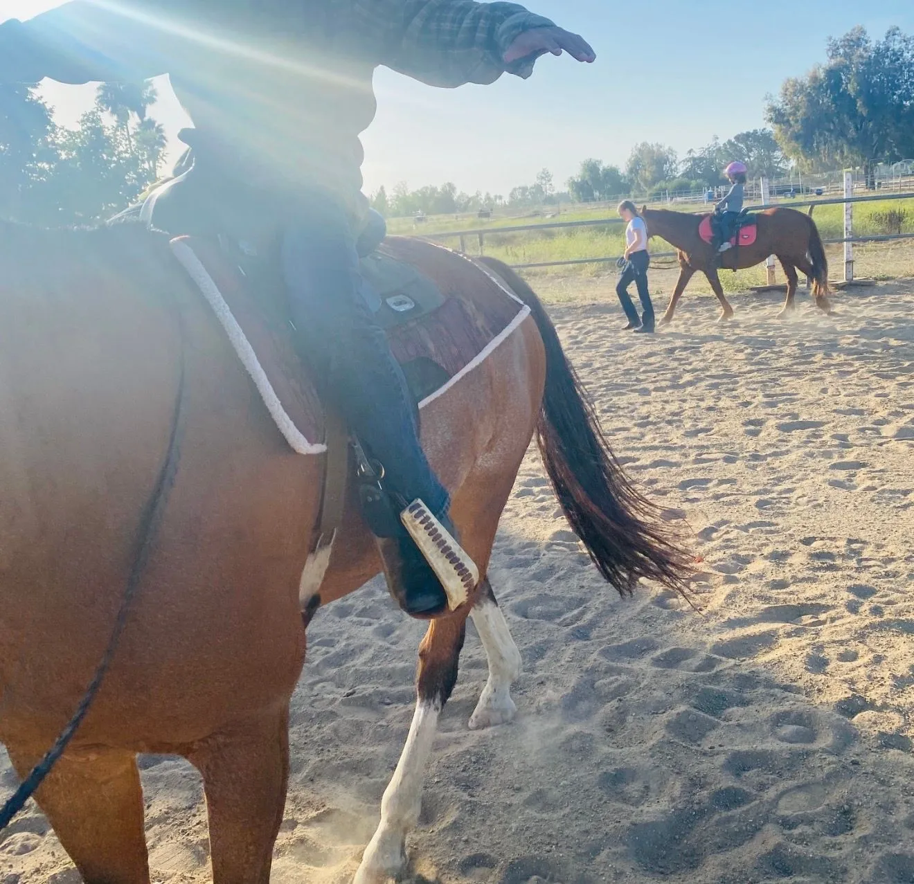 A horse and rider in the foreground of an outdoor arena while another lesson takes place behind them.